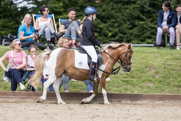 Bild 133 - Pony Akademie Turnier